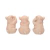 Three Wise Pigs 9.5cm Animals Out Of Stock