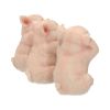 Three Wise Pigs 9.5cm Animals Out Of Stock