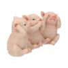 Three Wise Pigs 9.5cm Animals Out Of Stock