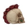 Rosehawk 16cm Skulls Stock Arrivals