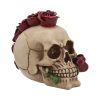 Rosehawk 16cm Skulls Stock Arrivals