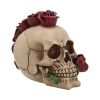 Rosehawk 16cm Skulls Gifts Under £100