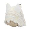 Night Wolf 15.6cm Skulls Stock Arrivals
