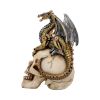 Dragon's Grasp 18.5cm Dragons Back in Stock