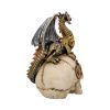 Dragon's Grasp 18.5cm Dragons Stock Arrivals