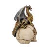 Dragon's Grasp 18.5cm Dragons Back in Stock