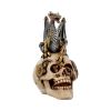 Dragon's Grasp 18.5cm Dragons Stock Arrivals