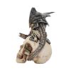Steel Wing Skull 21cm Dragons Statues Medium (15cm to 30cm)