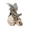 Steel Wing Skull 21cm Dragons Statues Medium (15cm to 30cm)