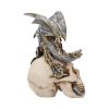 Steel Wing Skull 21cm Dragons Dragon Figurines