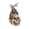 Steel Wing Skull 21cm Dragons Statues Medium (15cm to 30cm)