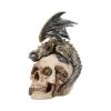 Steel Wing Skull 21cm Dragons Statues Medium (15cm to 30cm)