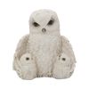 Feathered Family 21.5cm Owls Gifts Under £100