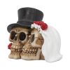 Together Forever 16cm Skulls RRP Under 10