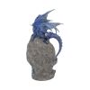 Cobalt Custodian 23cm Dragons Year Of The Dragon