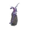 Amethyst Custodian 22cm Dragons Year Of The Dragon