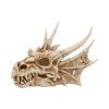 Lumo 25cm Dragons Dragons