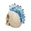 Crystal Hawk 18cm Skulls Stock Arrivals