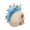 Crystal Hawk 18cm Skulls Stock Arrivals