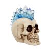 Crystal Hawk 18cm Skulls Stock Arrivals