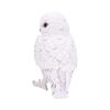 Snowy Watch Large 20cm Owls Statues Medium (15cm to 30cm)