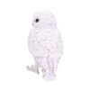 Snowy Watch Large 20cm Owls Back in Stock