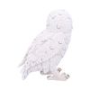 Snowy Watch Large 20cm Owls Back in Stock