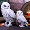 Snowy Watch Large 20cm Owls Back in Stock