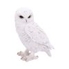 Snowy Watch Large 20cm Owls Back in Stock