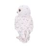 Snowy Watch Small 13.3cm Owls Back in Stock