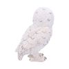 Snowy Watch Small 13.3cm Owls Back in Stock