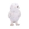 Snowy Watch Small 13.3cm Owls Back in Stock