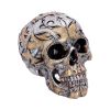 Tribal Traditions Large 19.5cm Skulls Statues Medium (15cm to 30cm)