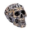 Tribal Traditions Small 14cm Skulls Gifts Under £100