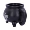 Witch's Brew Mug 13.5cm Witchcraft & Wiccan Gifts Under £100