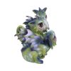 Curious Hatchlings (Set of 4) 9cm Dragons Dragon Figurines