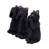 Three Wise Felines 8.5cm Cats RRP Under 20