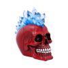 Crystal Hawk Red 20.3cm Skulls Gifts Under £100