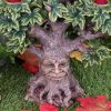 Forest Flame 21.5cm Tree Spirits Gifts Under £100