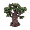 Forest Flame 21.5cm Tree Spirits Gifts Under £100