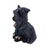 Reapers Feline 16cm Cats Best Sellers