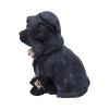 Reapers Canine 17cm Dogs Stock Arrivals