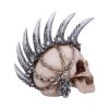 Chain Blade Skulls Out Of Stock