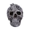Cranial Drakos (Silver) 19.5cm Skulls Skulls