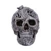 Cranial Drakos (Silver) 19.5cm Skulls Stock Arrivals