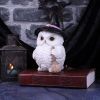 Snowy Magic 18cm Owls Gifts Under £100