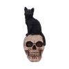 Familiar Fate 24.3cm Cats Statues Medium (15cm to 30cm)