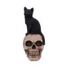 Familiar Fate 24.3cm Cats Gifts Under £100