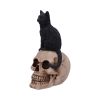Familiar Fate 24.3cm Cats Statues Medium (15cm to 30cm)