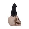 Familiar Fate 24.3cm Cats Statues Medium (15cm to 30cm)